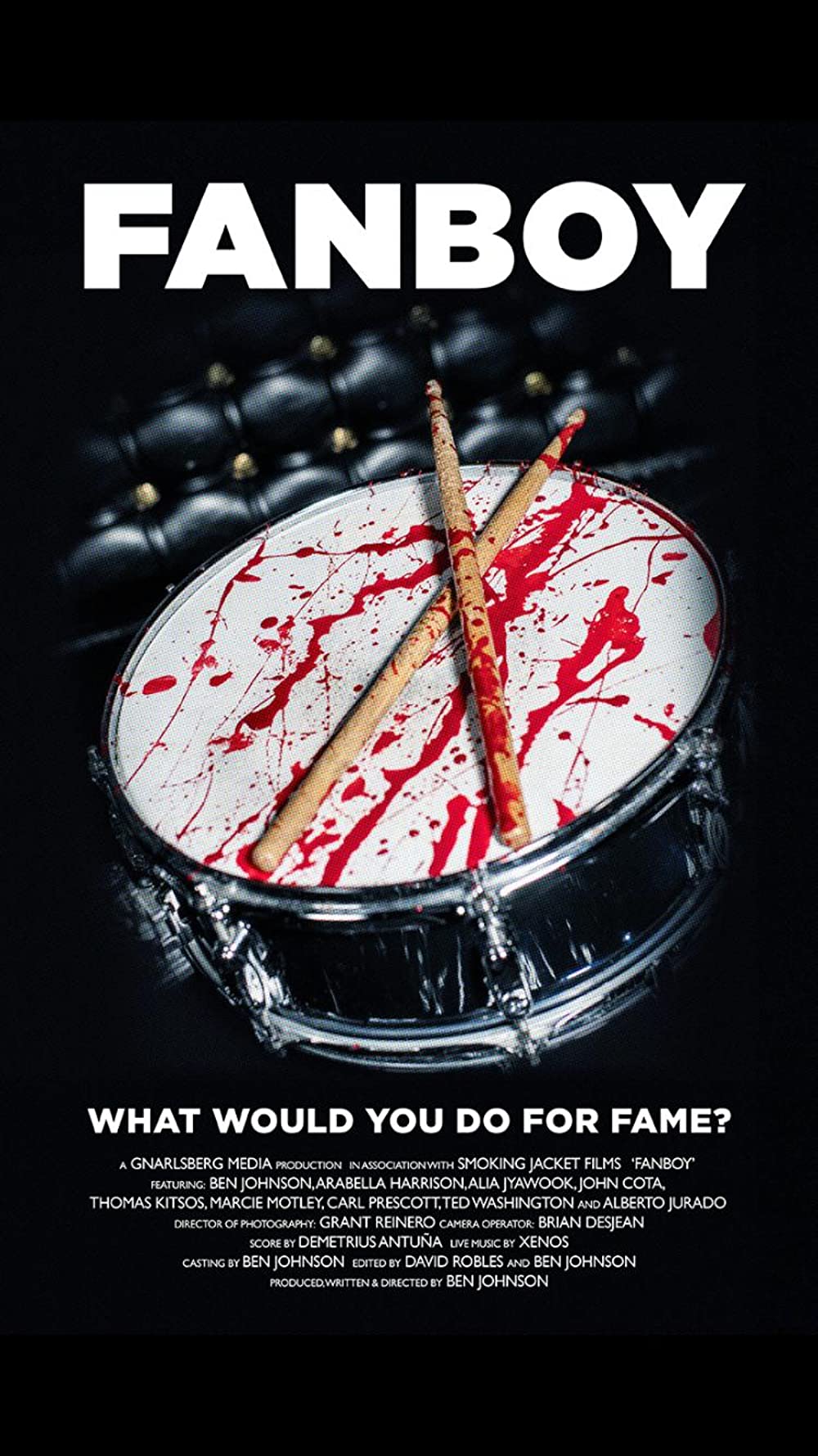 Fanboy - DVD (Ben Johnson)